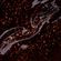 886084---esmalte-Risque-Chilli-Beans-A-Onca-Que-Habita-em-Mim-8ml-6