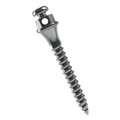 Miniparafuso Ortodôntico Titânio Transm.:2mm Ø1.5mm Morelli 10mm