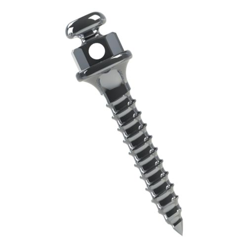 Miniparafuso Ortodôntico Titânio Transm.:1mm Ø1.5mm Morelli 8mm