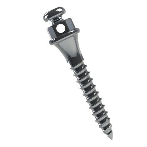 Miniparafuso Ortodôntico Titânio Transm.:2mm Ø1.5mm Morelli 8mm