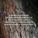 image-d21ff23b60f344b0a42aa46e078f616d