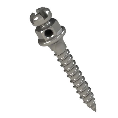 Miniparafuso Cabeça de Bráquete Horário 1mmØ1.5mm Morelli 8mm