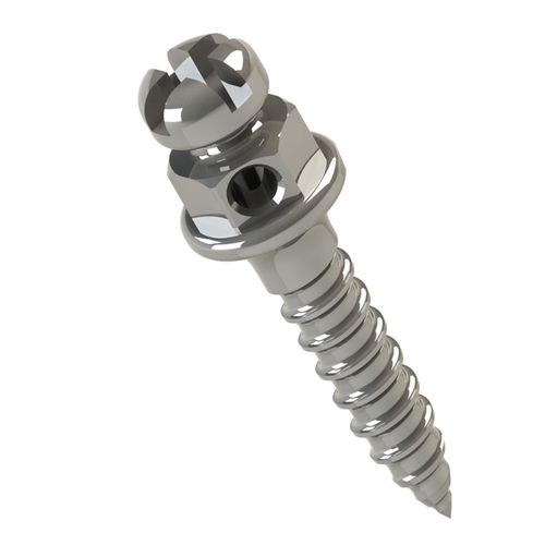 Miniparafuso Cabeça de Bráquete Horário 1mmØ1.5mm Morelli 6mm