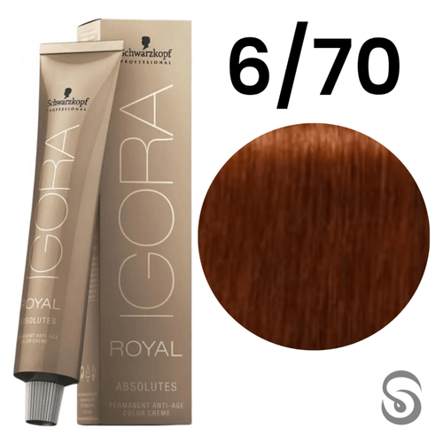 Coloração Tintura Igora Absolutes 6-70 Schwarzkopf 60g
