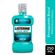 4340---antisseptico-bucal-listerine-cool-mint-250ml-2