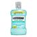 476366---Antisseptico-Bucal-Listerine-Zero-1-5-Litros-1 476366---Antisseptico-Bucal-Listerine-Zero-1-5-Litros-1
