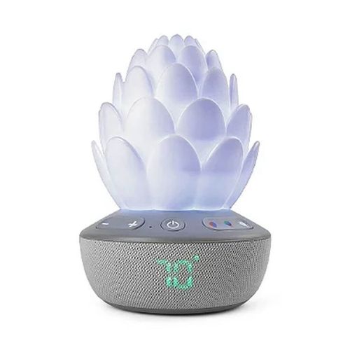 Luminária Multifuncional Acalma Bebê Suculenta Skip Hop