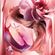 image-58f360ced97147b98a6bc449a5c0c52d