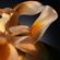 image-4dd1a602b74747aa95390977ae586c8a