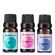 883352---Kit-Oleos-Essenciais-Ever-You-Trio-Blends-Alivio-Dormir-Respirar-10ml-Cada-2