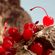 image-960ad7a68f4f474194041c903431c8a8
