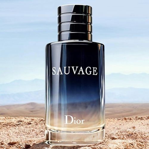 Perfume Dior Sauvage Masculino Eau de Toilette 100ml Perfume Dior Sauvage Masculino Eau de Toilette 100ml