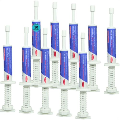LEVUFLORA PRÉ E PROBIÓTICO 14G PARA CÃES E GATOS SABOR CARNE KIT COM 10 LEVUFLORA PRÉ E PROBIÓTICO 14G PARA CÃES E GATOS SABOR CARNE KIT COM 10
