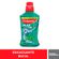 145572---Enxaguante-Bucal-Colgate-Plax-Fresh-Mint-500ml-2