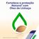 349860---Sabonete-Liquido-Antibacteriano-para-Corpo-Protex-Nutri-Protect-Vitamina-E-250ml-7