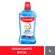 664138---Enxaguante-Bucal-Colgate-Total-12-Clean-Mint-1-Litro-2