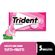 53228---trident-tutti-frutti-kraft-food-2