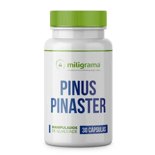 pinus20pinaster203020capsulas