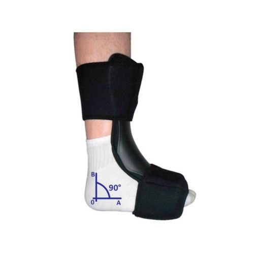 Ortese Noturna M Único