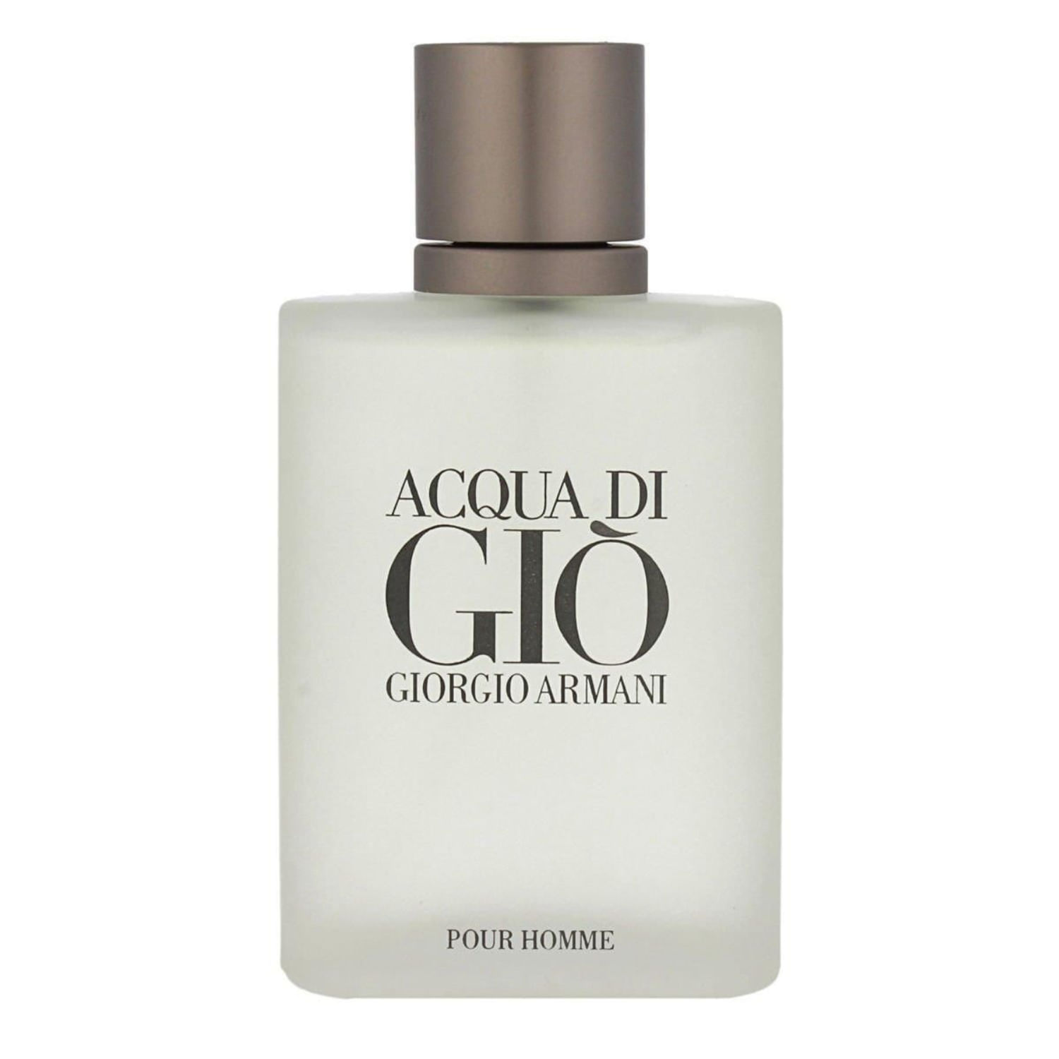 Acqua Di Giò Homme Giorgio Armani Perfume Masculino Eau de Toilette 100ml Importado