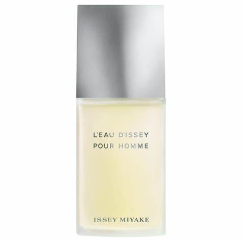 L'eau D'issey Pour Homme Issey Miyake Perfume Masculino Eau de Toilette 125ml