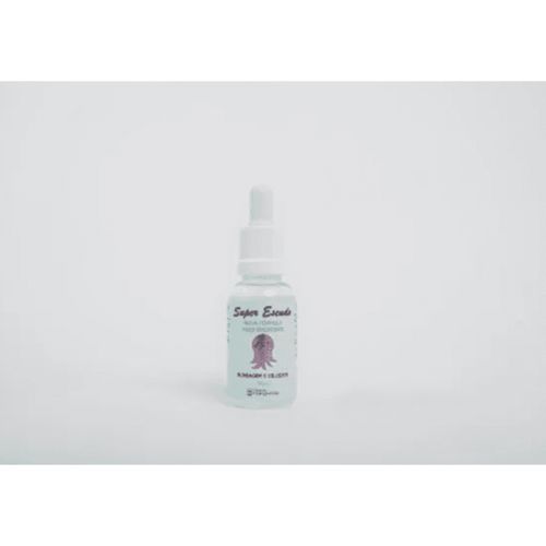 Super escudo Maria Margarida