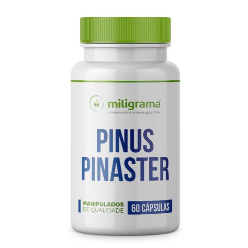 Pinus Pinaster 150mg 60 Cápsulas Sem Sabor/Aroma 60 Cápsulas Branca/Transparente Pinus Pinaster 150mg 60 Cápsulas Sem Sabor/Aroma 60 Cápsulas Branca/Transparente