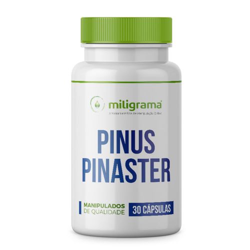 Pinus Pinaster 150mg 30 Cápsulas Sem Sabor/Aroma 30 Cápsulas Branca/Transparente