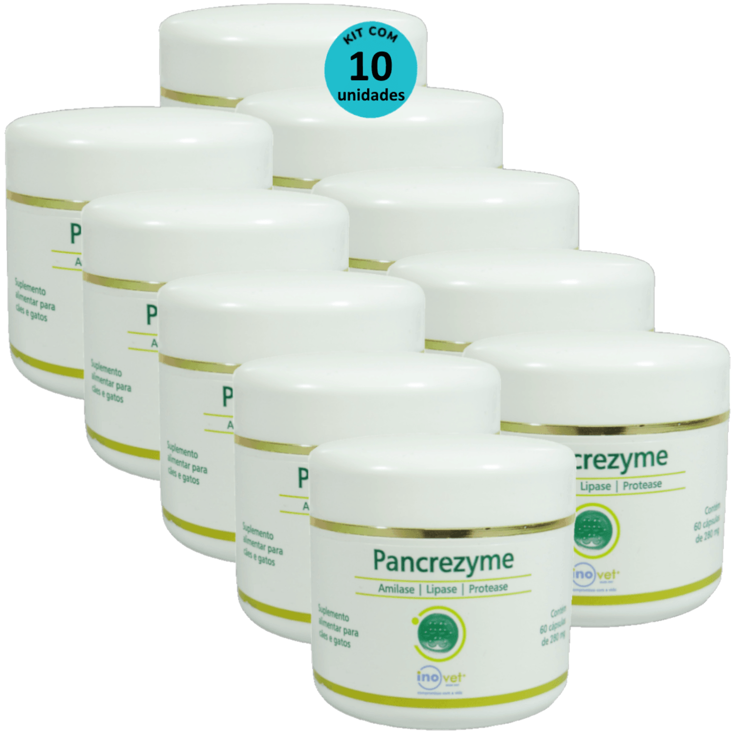 Pancrezyme 60 Cápsulas 280mg Para Cães e Gatos Inovet Kit Com 10