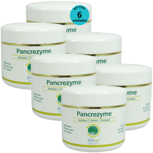 Pancrezyme 60 Cápsulas 280mg Para Cães e Gatos Inovet Kit Com 6 Pancrezyme 60 Cápsulas 280mg Para Cães e Gatos Inovet Kit Com 6