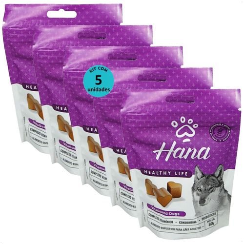 SNACK HANA HEALTHY LIFE VITAGUARD DOGS PARA CÃES ADULTOS 80G KIT COM 5