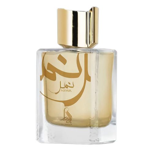 Al Absar Nimr Eau de Parfum - Perfume Masculino 100ml 100ml