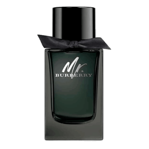 Burberry Mr Burberry Eau de Parfum - Perfume Masculino 100ml 100ml Burberry Mr Burberry Eau de Parfum - Perfume Masculino 100ml 100ml