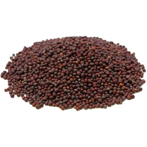 Semente De Mostarda Preta Para Acupuntura Auricular - 50g