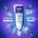 529346---Creme-Dental-Oral-B-3D-White-70g-3-Unidades-3