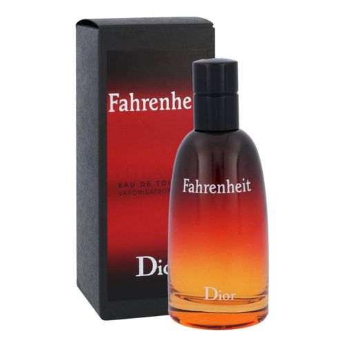 Fahrenheit Dior Eau de Toilette 100ml