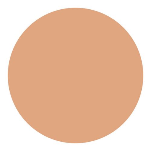 Shiseido UV Protective Compact Foundation Dark Ivory - Protetor Solar Facial Compacto FPS 35 Refil 12g