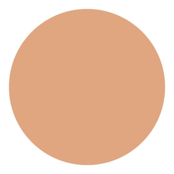 Shiseido UV Protective Compact Foundation Dark Ivory - Protetor Solar Facial Compacto FPS 35 Refil 12g