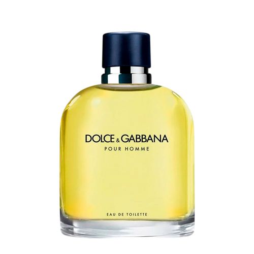 Dolce & Gabbana Pour Homme Eau de Toilette - Perfume Masculino 75ml 75ml