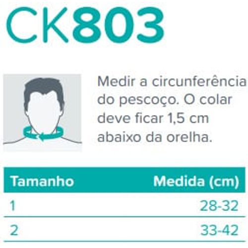 Tam: 1 Tam 1