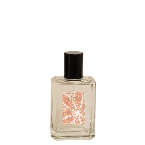 Perfume Phebo Perfumaria Entrelaço Unissex Eau Parfum 100ml 100ml Perfume Phebo Perfumaria Entrelaço Unissex Eau Parfum 100ml 100ml