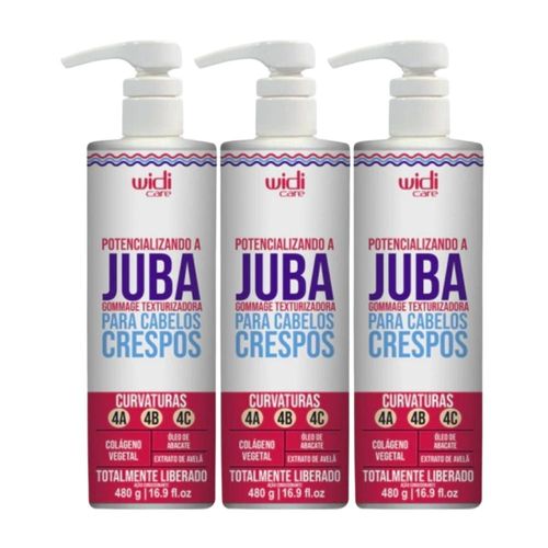 Kit Widi Care Potencializando A Juba 3 Texturizadora 480 g
