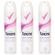 desodorante-aerosol-rexona-feminino-active-emotion-175ml-leve-3-pague-2-unidades-373559