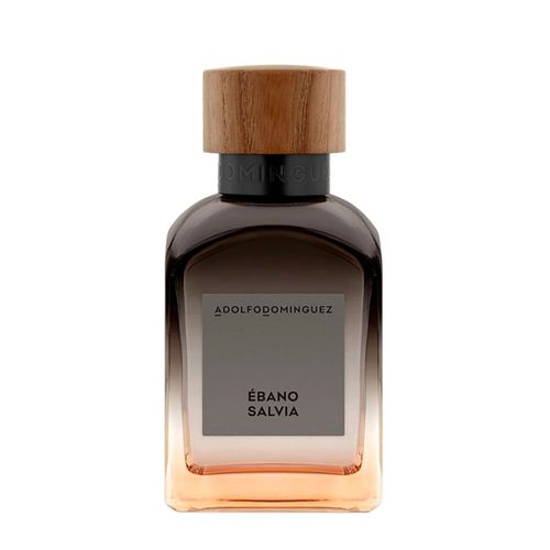 Perfume Adolfo Dominguez Ébano Salvia Masculino - Eau de Parfum 120ml 120ml