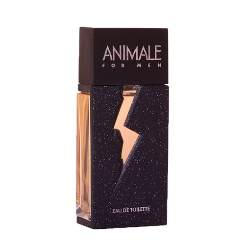 Perfume Animale For Men Masculino - Eau de Toilette 100ml 100ml