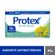 Sabonete-Antibacteriano-em-Barra-Protex-Erva-Doce-85g---661996-2