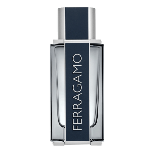 Salvatore Ferragamo Ferragamo Eau de Toilette - Perfume Masculino 50ml 100ml 100ml