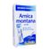 Arnica-Montana-6-CH-Boiron-8g-565598 Arnica-Montana-6-CH-Boiron-8g-565598