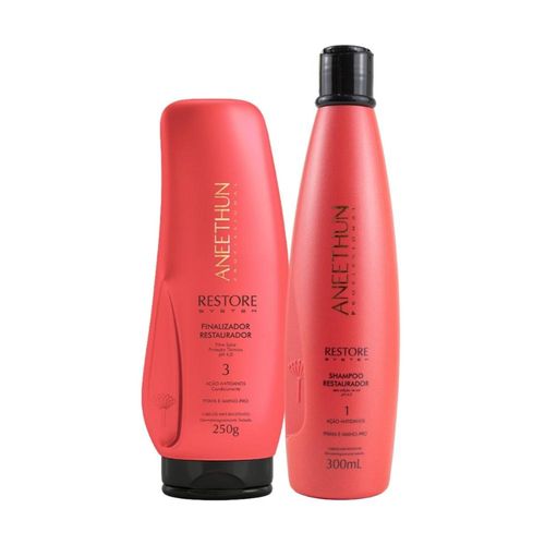 Kit Aneethun Restore Shampoo 300 ml + Finalizador 250 g