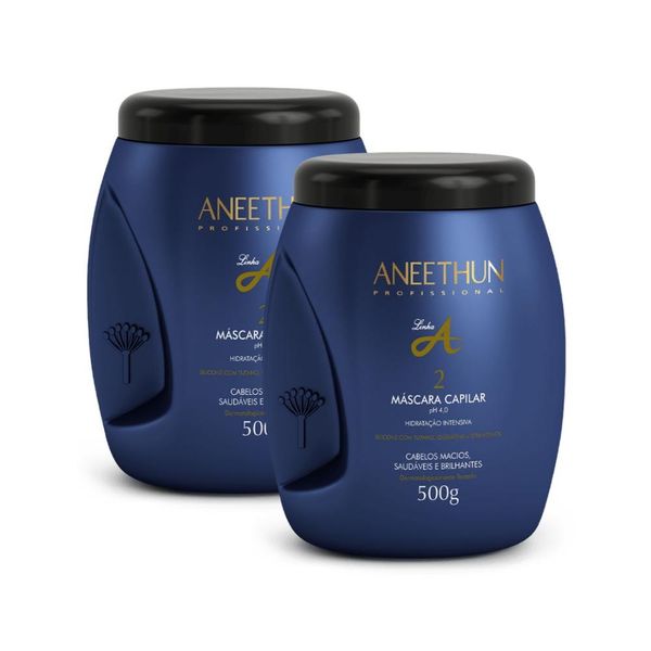 Kit Aneethun Linha A 2 Máscara Capilar 500 g